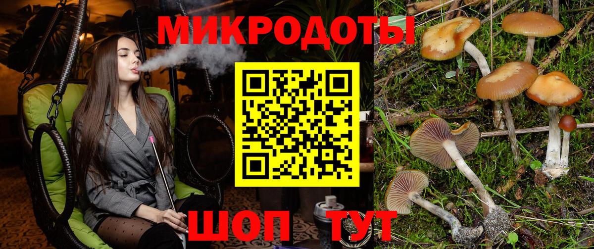 Галлюциногенные грибы прущие грибы Пушкино