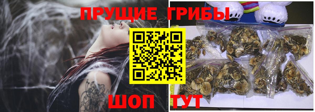 Псилоцибиновые грибы Cubensis  Галлюциногенные грибы Magic Shrooms  Пушкино  Вход с VPN 